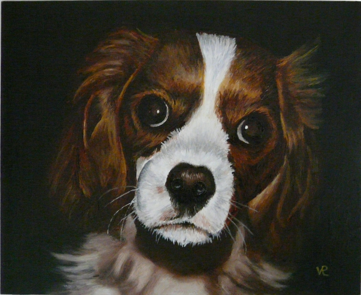 Pet Portrait - Harley