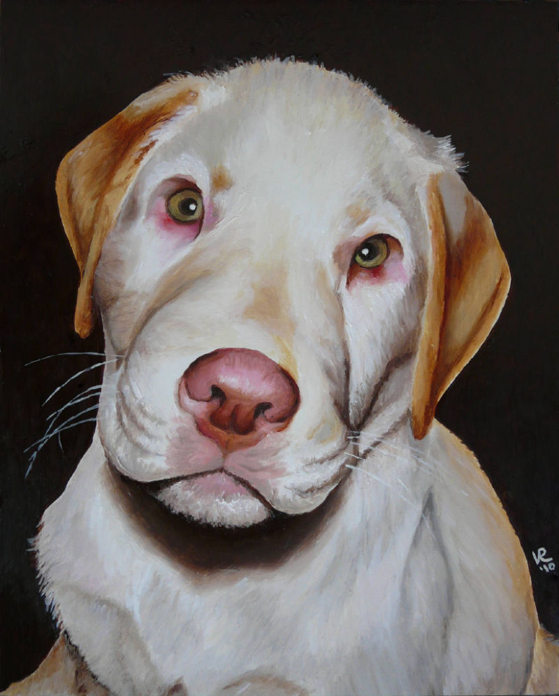 Pet Portrait - Savanah